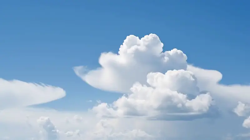 Standbild aus dem Video „Auswahl“